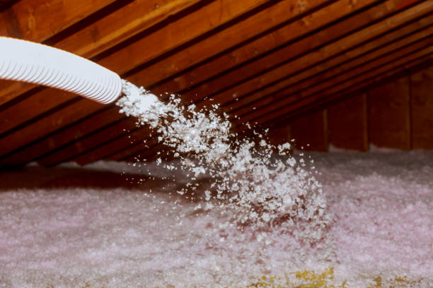 Best Commercial Insulation in Beeville, TX