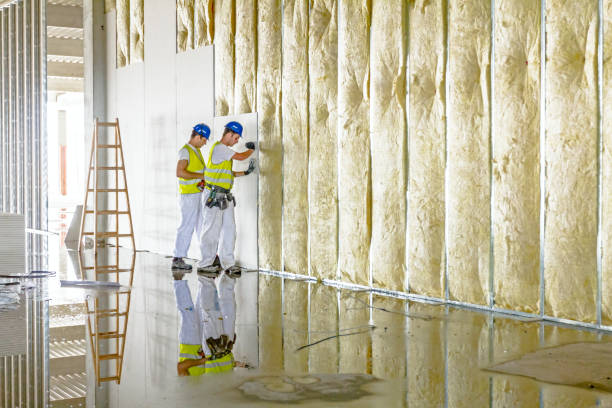 Types of Insulation We Offer in Beeville, TX